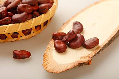 《魂斗罗：加鲁加行动》实体版将于9月5日登陆PS5＆NS